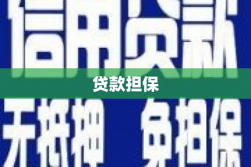 蓝山贷款担保
