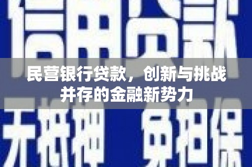 蓝山民营银行贷款，创新与挑战并存的金融新势力
