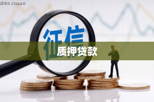 蓝山质押贷款