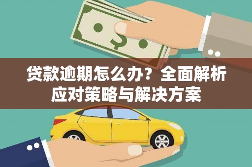 蓝山贷款逾期怎么办？全面解析应对策略与解决方案
