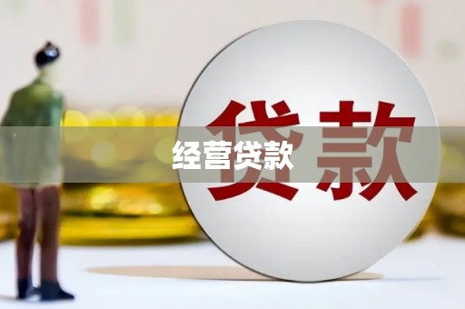 蓝山经营贷款