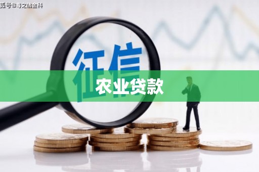 蓝山农业贷款
