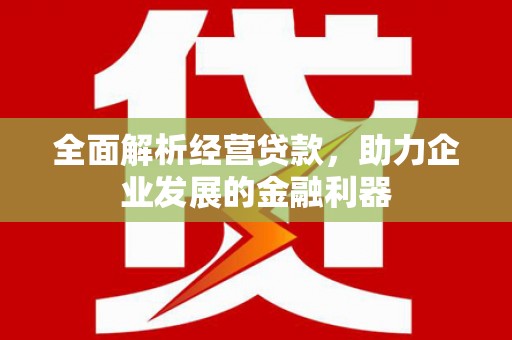 蓝山全面解析经营贷款，助力企业发展的金融利器