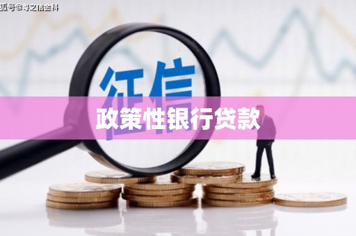 蓝山政策性银行贷款