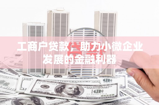 蓝山工商户贷款，助力小微企业发展的金融利器