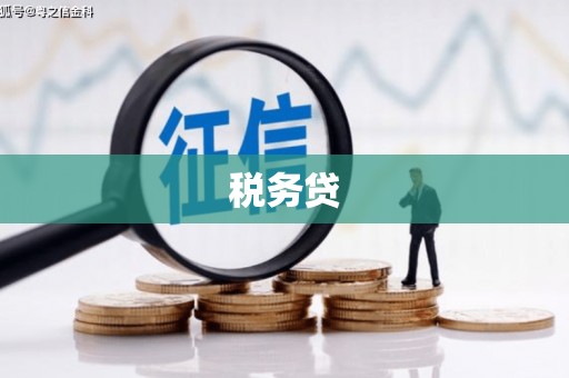 蓝山税务贷
