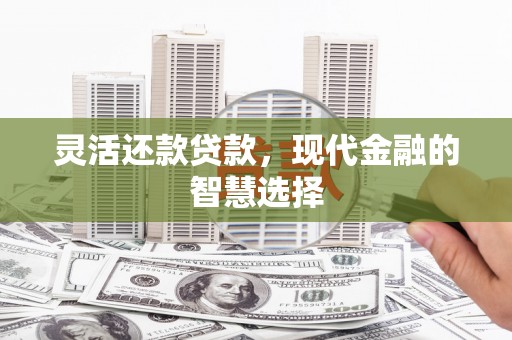 蓝山灵活还款贷款，现代金融的智慧选择