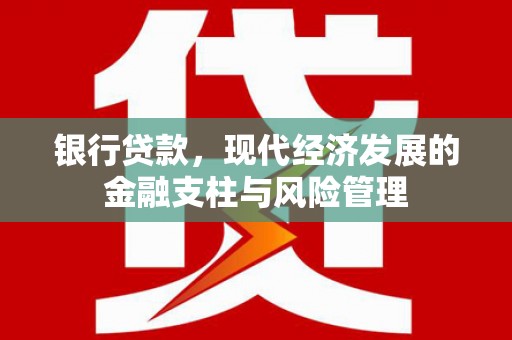 蓝山银行贷款，现代经济发展的金融支柱与风险管理