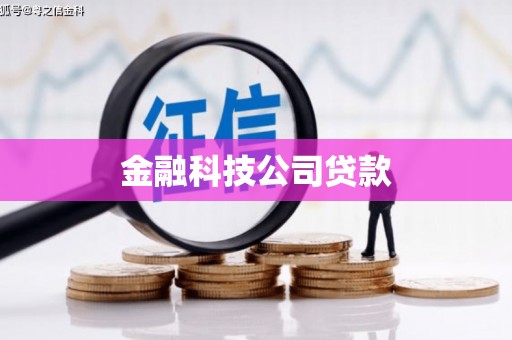 蓝山金融科技公司贷款