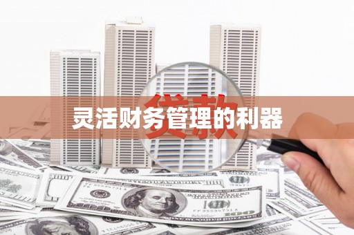 蓝山灵活财务管理的利器