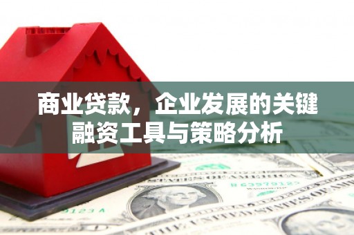 蓝山商业贷款，企业发展的关键融资工具与策略分析