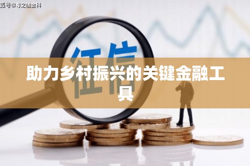蓝山助力乡村振兴的关键金融工具