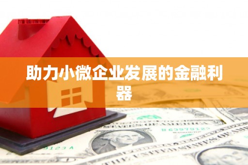 蓝山助力小微企业发展的金融利器