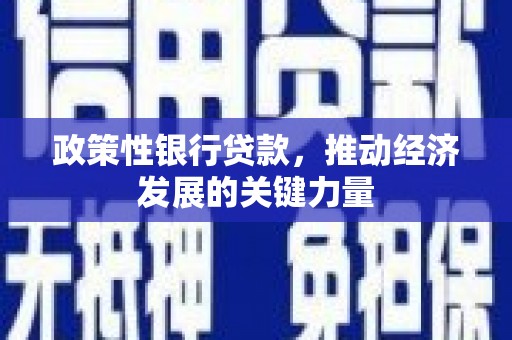 蓝山政策性银行贷款，推动经济发展的关键力量