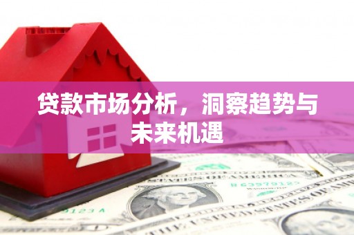 蓝山贷款市场分析，洞察趋势与未来机遇