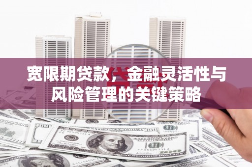 蓝山宽限期贷款，金融灵活性与风险管理的关键策略