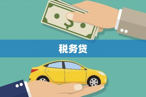 蓝山税务贷