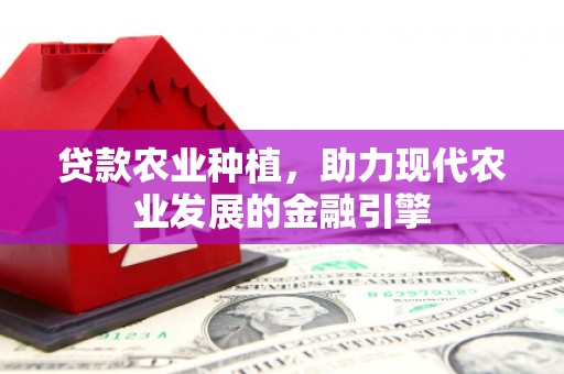蓝山贷款农业种植，助力现代农业发展的金融引擎