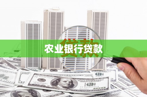 蓝山农业银行贷款