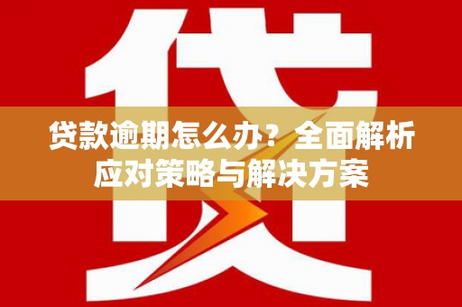 蓝山贷款逾期怎么办？全面解析应对策略与解决方案