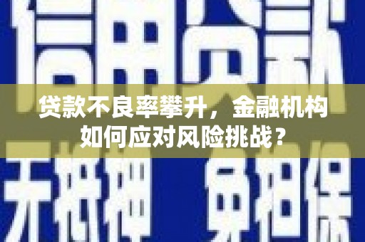蓝山贷款不良率攀升，金融机构如何应对风险挑战？