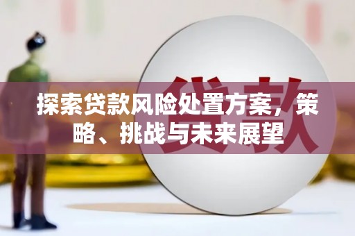 蓝山探索贷款风险处置方案，策略、挑战与未来展望