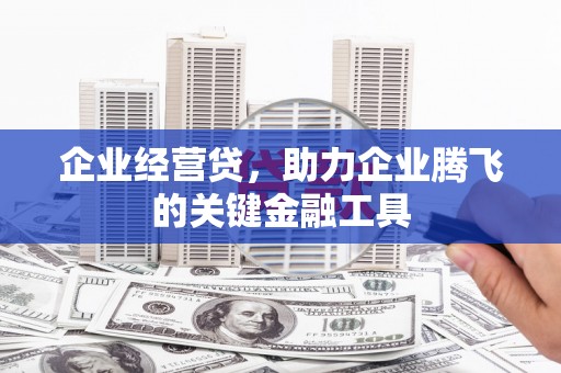蓝山企业经营贷，助力企业腾飞的关键金融工具