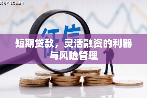 蓝山短期贷款，灵活融资的利器与风险管理