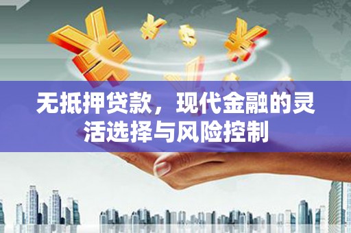 蓝山无抵押贷款，现代金融的灵活选择与风险控制