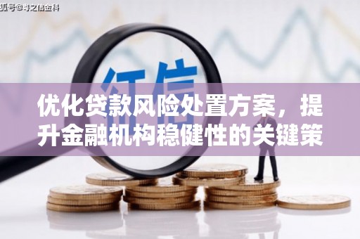 蓝山优化贷款风险处置方案，提升金融机构稳健性的关键策略