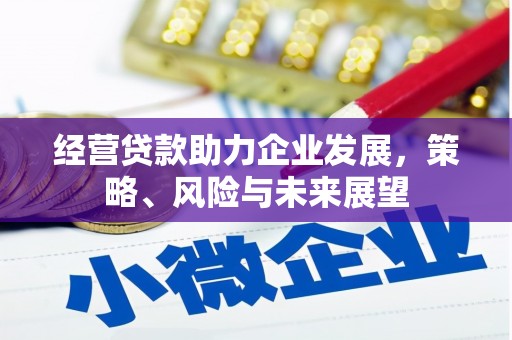 蓝山经营贷款助力企业发展，策略、风险与未来展望