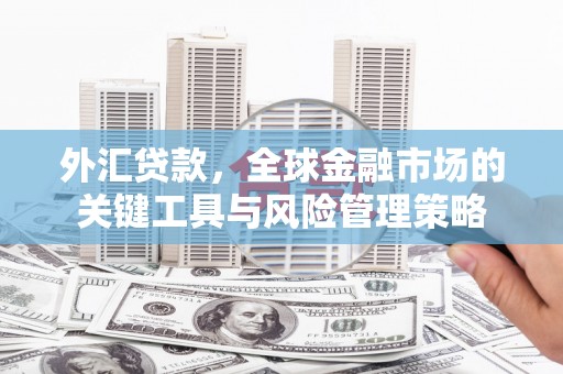 蓝山外汇贷款，全球金融市场的关键工具与风险管理策略