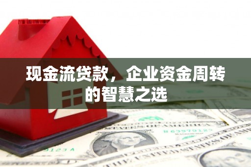 蓝山现金流贷款，企业资金周转的智慧之选