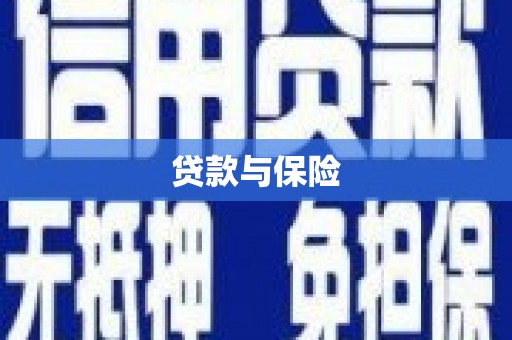 蓝山贷款与保险