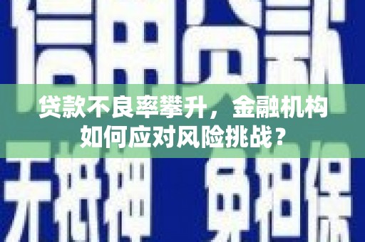 蓝山贷款不良率攀升，金融机构如何应对风险挑战？