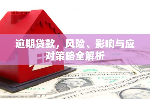 蓝山逾期贷款，风险、影响与应对策略全解析
