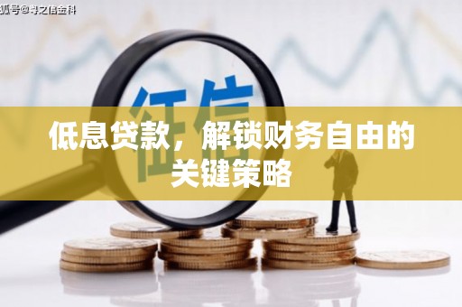 蓝山低息贷款，解锁财务自由的关键策略