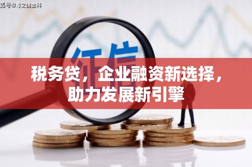 蓝山税务贷，企业融资新选择，助力发展新引擎
