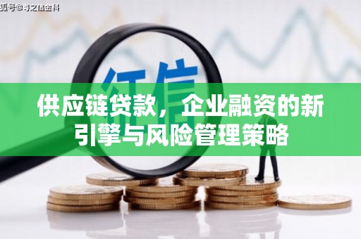 蓝山供应链贷款，企业融资的新引擎与风险管理策略