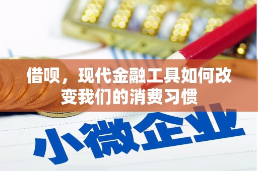 蓝山借呗，现代金融工具如何改变我们的消费习惯