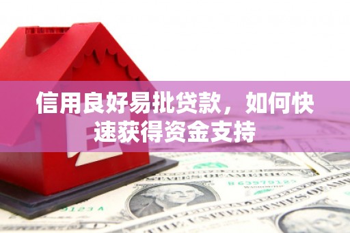 蓝山信用良好易批贷款，如何快速获得资金支持