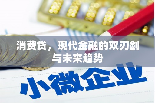 蓝山消费贷，现代金融的双刃剑与未来趋势