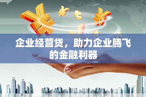 蓝山企业经营贷，助力企业腾飞的金融利器