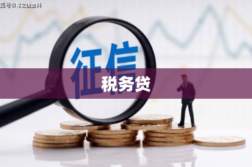 蓝山税务贷