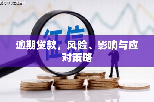 蓝山逾期贷款，风险、影响与应对策略