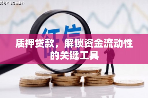 蓝山质押贷款，解锁资金流动性的关键工具