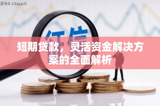 蓝山短期贷款，灵活资金解决方案的全面解析