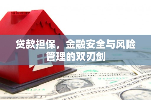 蓝山贷款担保，金融安全与风险管理的双刃剑