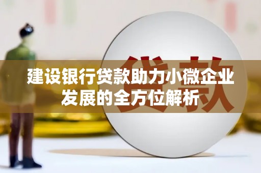 蓝山建设银行贷款助力小微企业发展的全方位解析
