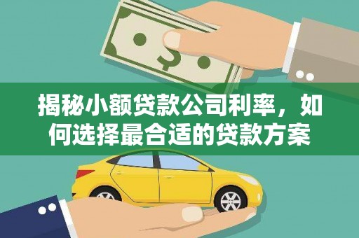 蓝山揭秘小额贷款公司利率，如何选择最合适的贷款方案